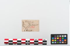 Etiketten zu Bronzering (NHMW-PRAE-024110)